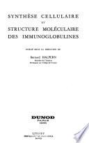 Synthèse cellulaire et structure moléculaire des immunoglobulines