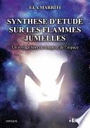 Synthèse d'étude sur les flammes jumelles