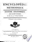 Systême anatomique
