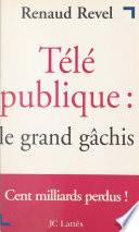 Télé publique : le grand gâchis