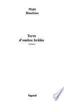Terre d'ombre brûlée