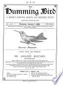The Humming Bird