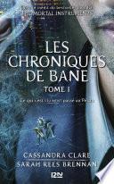 The Mortal Instruments, Les chroniques de Bane - tome 1 : Ce qui s'est VRAIMENT passé au Pérou