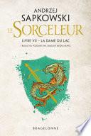 The Witcher : La Dame du lac
