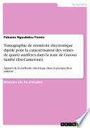 Tomographie de résistivité électronique dipôle pour la caractérisation des veines de quartz aurifères dans la zone de Garoua Sambé (Est-Cameroun)