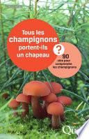 Tous les champignons portent-ils un chapeau ?