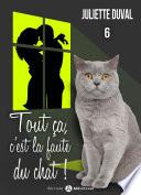 Tout ça, c'est la faute du chat ! - 6