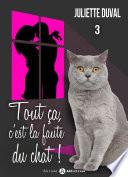 Tout ça, c’est la faute du chat ! - 3