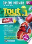 Tout le semestre 1 en fiches mémos - DEI - 2e édition