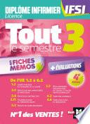Tout le semestre 3 en fiches mémos - Diplôme d'état infirmier - DEI IFSI - Révision et entrainement
