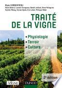 Traité de la vigne - 2e éd.