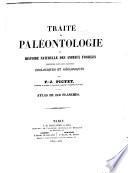 Traité de paléontologie