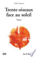 Trente oiseaux face au soleil
