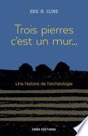 Trois pierres c'est un mur... Une histoire de l'archéologie