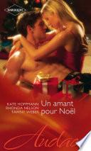 Un amant pour Noël