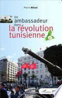 Un ambassadeur dans la révolution tunisienne