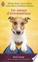 Un amour d'entremetteur