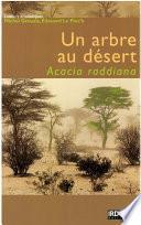Un arbre au désert