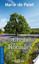 Un chemin de rocailles