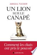 Un lion sur le canapé