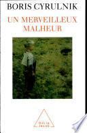Un merveilleux malheur