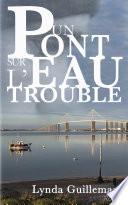Un pont sur l'eau trouble