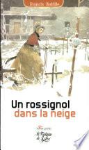 Un rossignol dans la neige