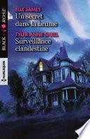 Un secret dans la brume - Surveillance clandestine