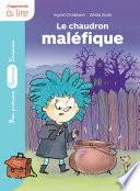 Un sorcier à l'école : le chaudron maléfique