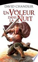 Un voleur dans la nuit