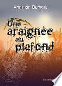 Une araignée au plafond