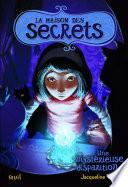 Une mystérieuse disparition. La Maison des secrets, tome 4
