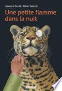 Une petite flamme dans la nuit