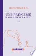 Livre Une princesse perdue dans la nuit