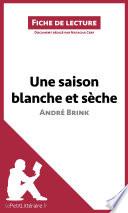 Une saison blanche et sèche d'André Brink (Analyse de l'oeuvre)