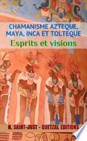 Visions et Esprits (Chamanisme toltèque, maya et inca T2)