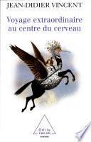 Voyage extraordinaire au centre du cerveau