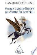 Voyage extraordinaire au centre du cerveau