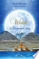 Wésak - L'Enseignement de Babaji - Le temps de la réconciliation