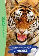 Wild Immersion 02 - Expédition au pays des tigres