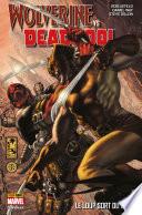 Wolverine vs Deadpool